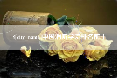 齐河中国消防学院排名前十