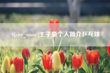 齐河王子豪个人简介乒乓球