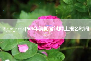 齐河2020年消防考试网上报名时间