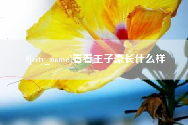 齐河看看王子豪长什么样
