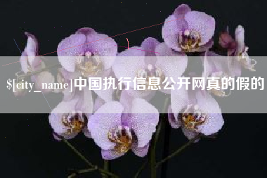 齐河中国执行信息公开网真的假的