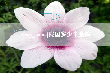 齐河我国多少个金牌