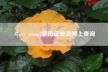 齐河消防证查询网上查询