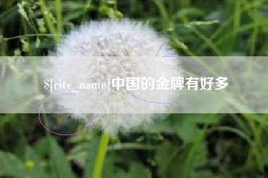 齐河中国的金牌有好多