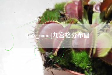 齐河九宫格分布图