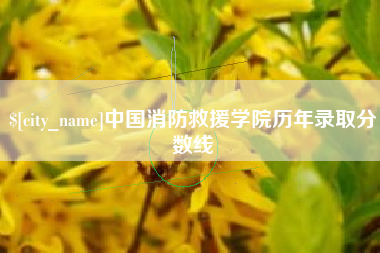 齐河中国消防救援学院历年录取分数线