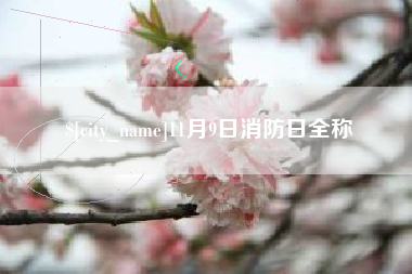 齐河11月9日消防日全称
