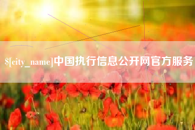 齐河中国执行信息公开网官方服务