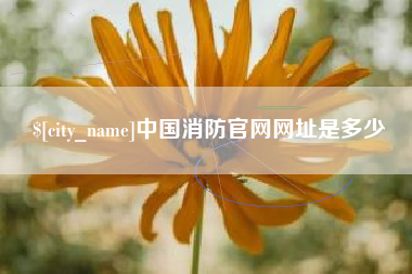 齐河中国消防官网网址是多少
