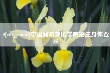齐河中国消防救援学院招生身体要求