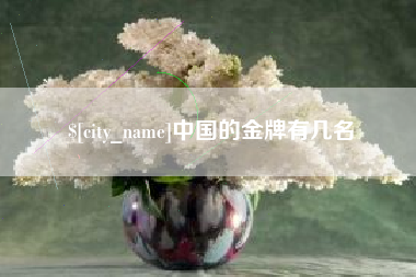 齐河中国的金牌有几名
