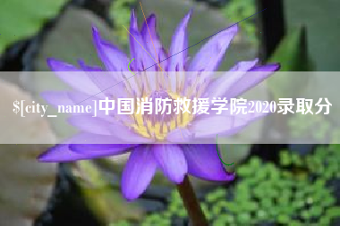 齐河中国消防救援学院2020录取分