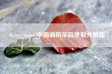 齐河中国消防学院录取分数线