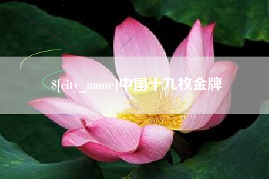 齐河中国十九枚金牌