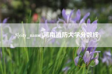 齐河河南消防大学分数线