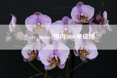 齐河国内5000米成绩