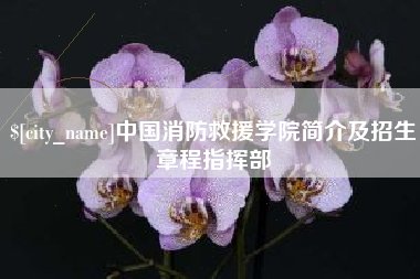 齐河中国消防救援学院简介及招生章程指挥部