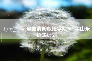 齐河中国消防救援学院2021年山东招生计划