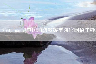 齐河中国消防救援学院官网招生办