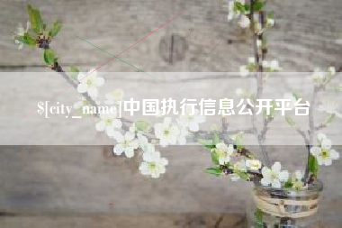 齐河中国执行信息公开平台