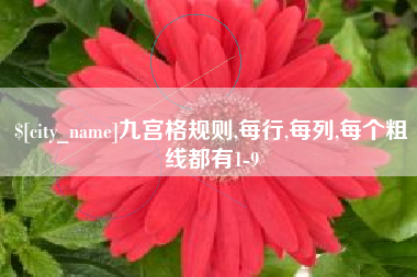 齐河九宫格规则,每行,每列,每个粗线都有1-9