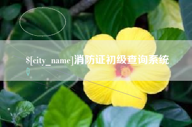 齐河消防证初级查询系统