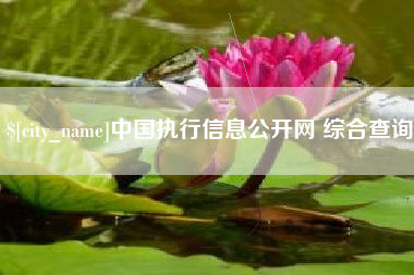 齐河中国执行信息公开网 综合查询