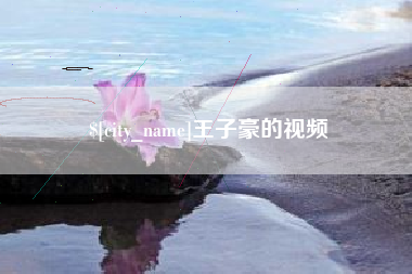 齐河王子豪的视频