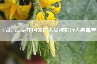 齐河中国失信人员被执行人名单查询