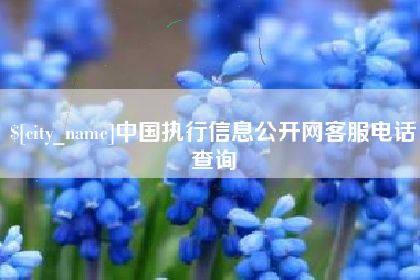 齐河中国执行信息公开网客服电话查询