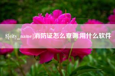 齐河消防证怎么查询,用什么软件