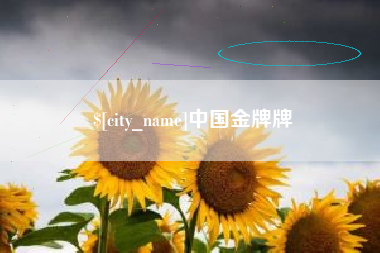 齐河中国金牌牌