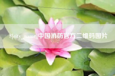 齐河中国消防官方二维码图片