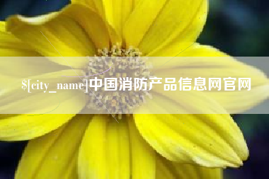 齐河中国消防产品信息网官网