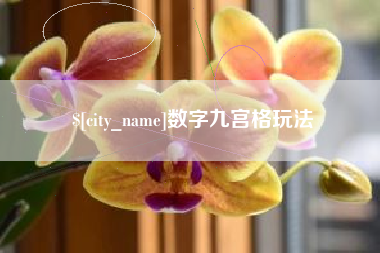 齐河数字九宫格玩法