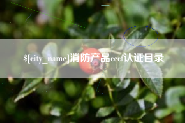 齐河消防产品cccf认证目录