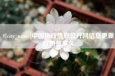 齐河中国执行信息公开网信息更新时间是多久
