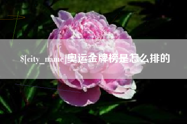 齐河奥运金牌榜是怎么排的