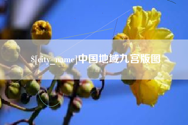 齐河中国地域九宫版图