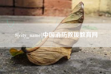 齐河中国消防救援教育网