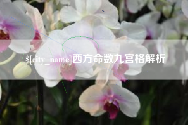 齐河西方命数九宫格解析