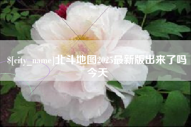 齐河北斗地图2025最新版出来了吗今天