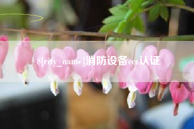 齐河消防设备ccc认证