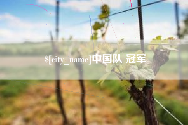 齐河中国队 冠军