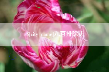 齐河九宫排除法