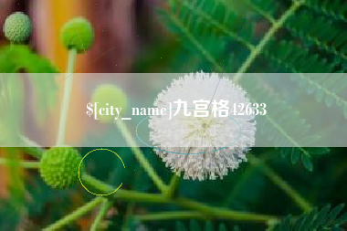 齐河九宫格42633