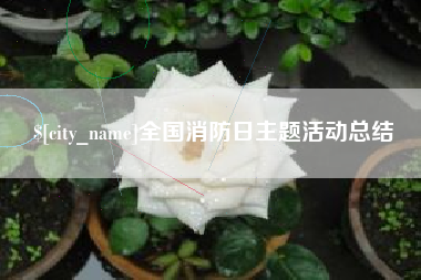 齐河全国消防日主题活动总结