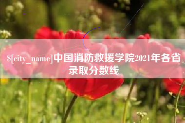 齐河中国消防救援学院2021年各省录取分数线