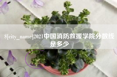 齐河2021中国消防救援学院分数线是多少