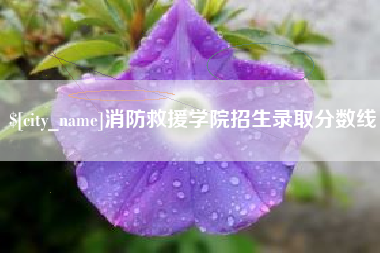 齐河消防救援学院招生录取分数线